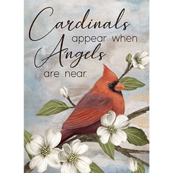 Cardinals Appear